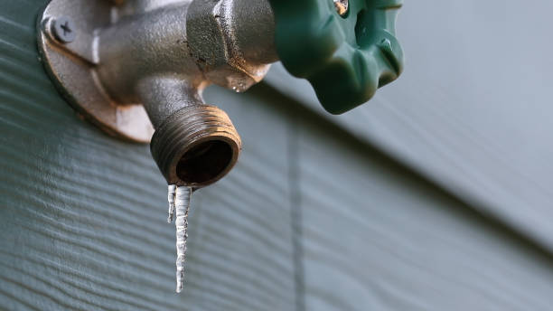 Best Same-Day Plumbing Service  in Rapid City, MI