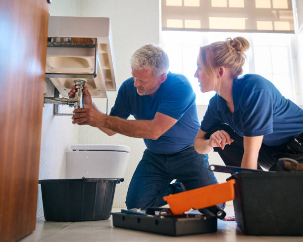 Best Sprinkler Systems  in Rapid City, MI